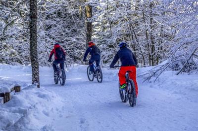 Fatbike Riders Fatbike Riders